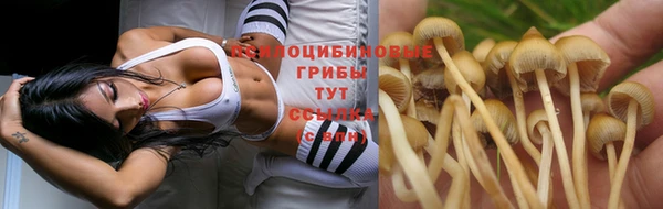 jwh Абаза