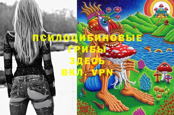 тгк Покровск