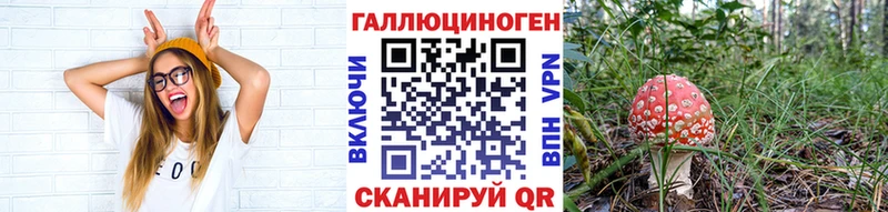 МЕГА ТОР цена Белая Калитва Галлюциногенные грибы Psilocybe