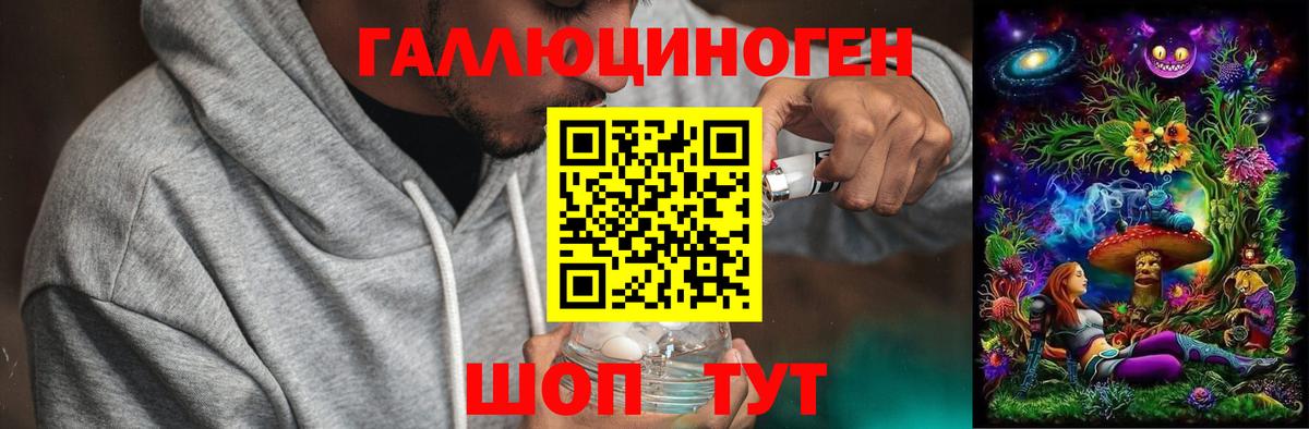 Галлюциногенные грибы Psilocybe Белая Калитва